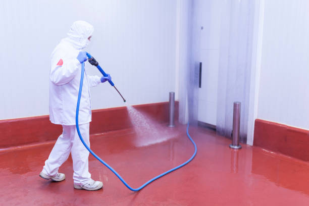 Best Building Exterior Washing  in Burkesville, KY