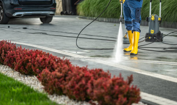Best Pool Deck Cleaning  in Burkesville, KY