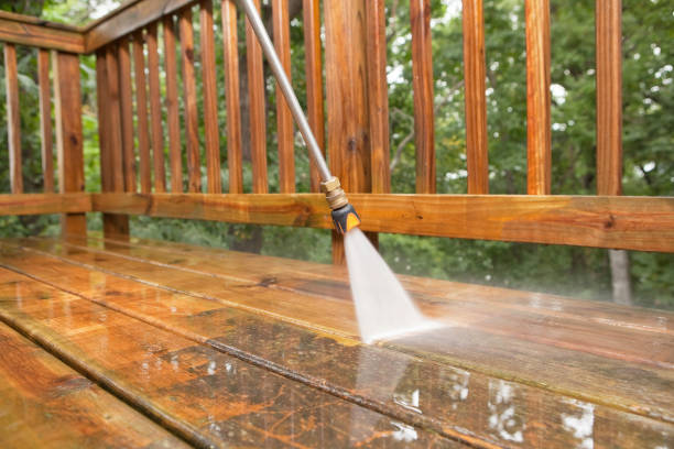 Best Roof Washing  in Burkesville, KY